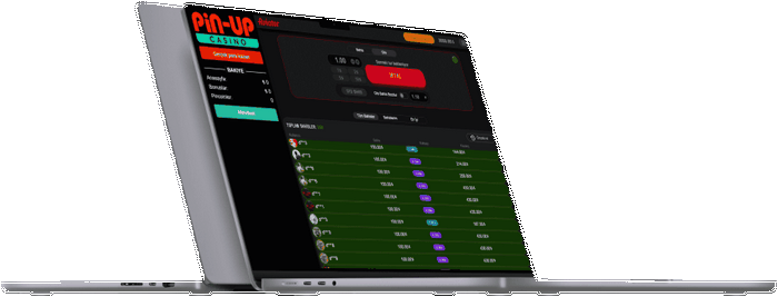 Типы ставок и рынков в Pinup kz Типы ставок и рынков в Pinup kz